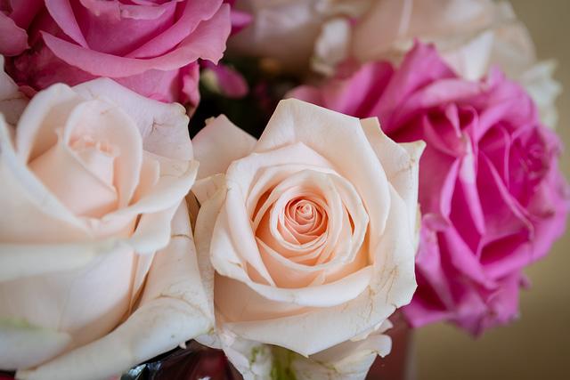 Bouquet de roses prenoms de fleurs pour bebe fille