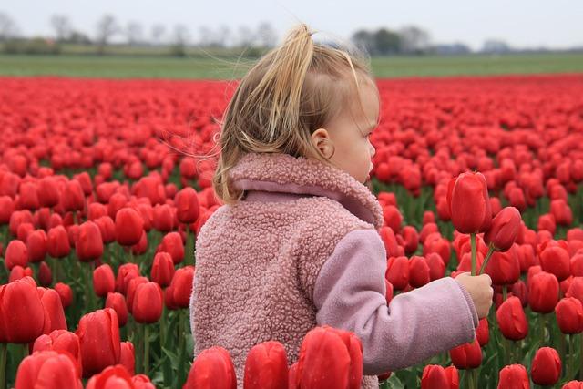 Enfant dans un champ de tulipes rouges au printemps tenant une fleur et observant les tulipes en pleine floraison 1