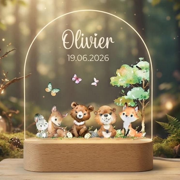 Veilleuse acrylique personnalisee avec le prenom Olivier
